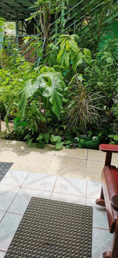 Cabinas Mitchaelle'S Puerto Viejo de Talamanca Εξωτερικό φωτογραφία